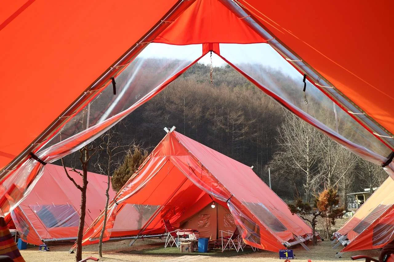 Glamping accommodation set in a green campsite garden