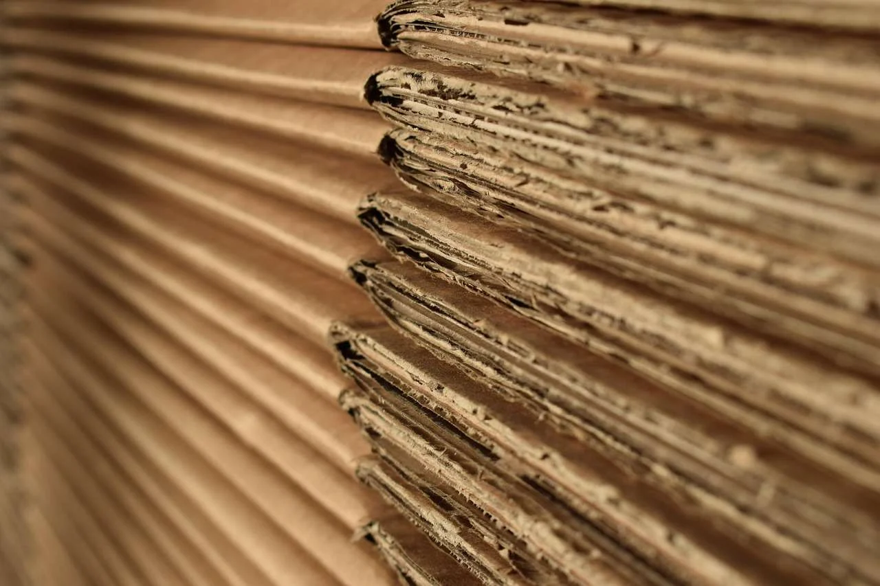 Close-up of corrugated cardboard used for cartons and cases