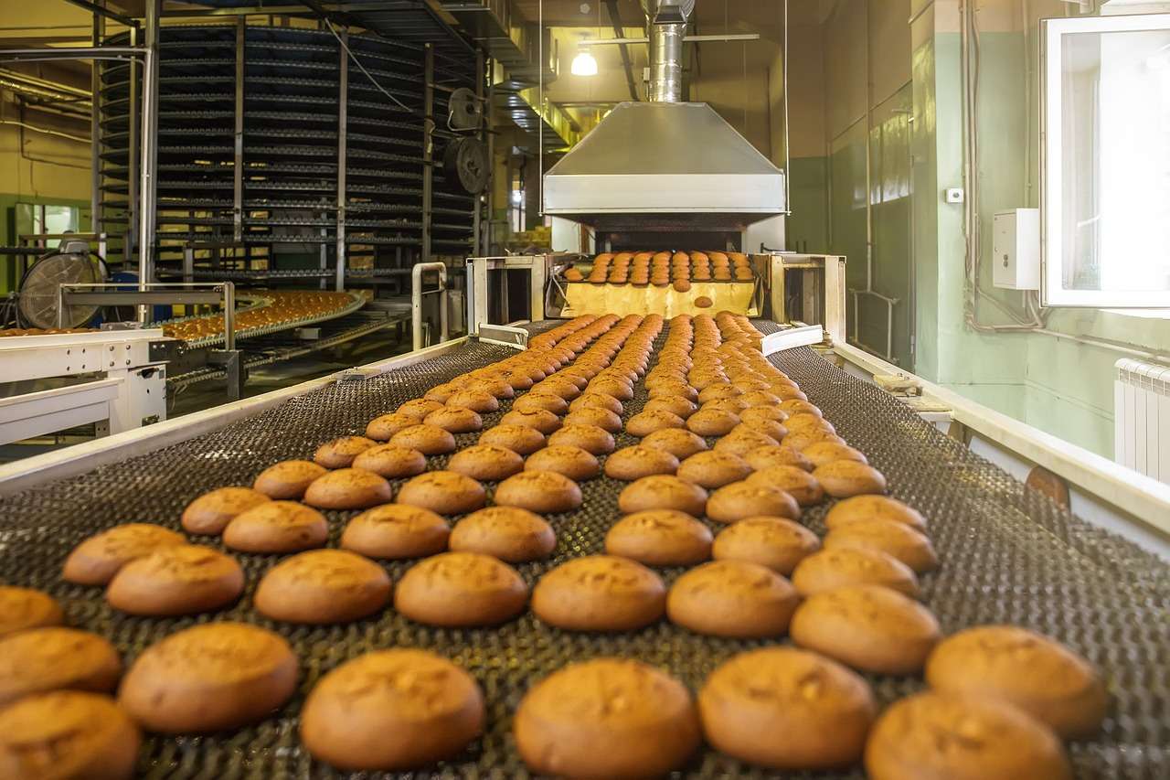 Loaves on a production line in an industrial bakery