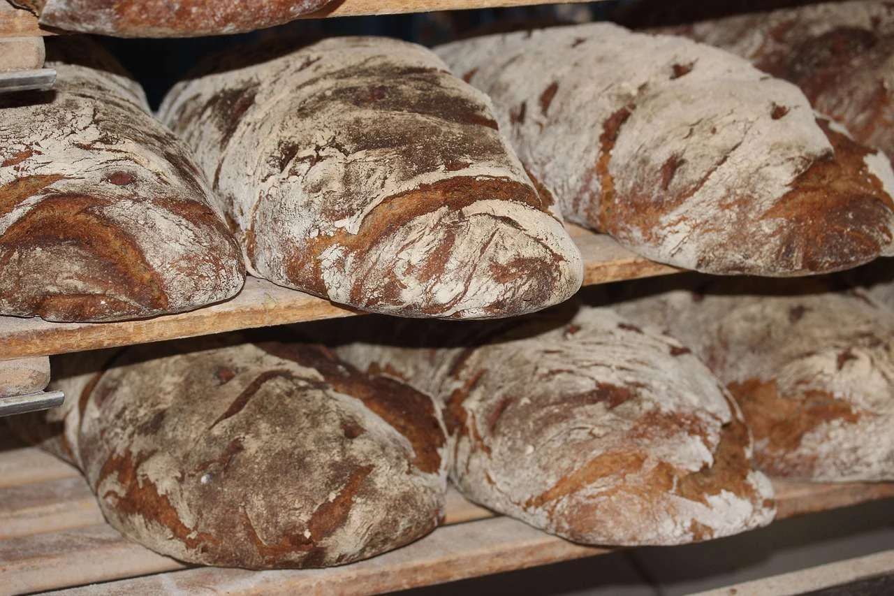 Freshly baked loaves of bread from a commercial bakery