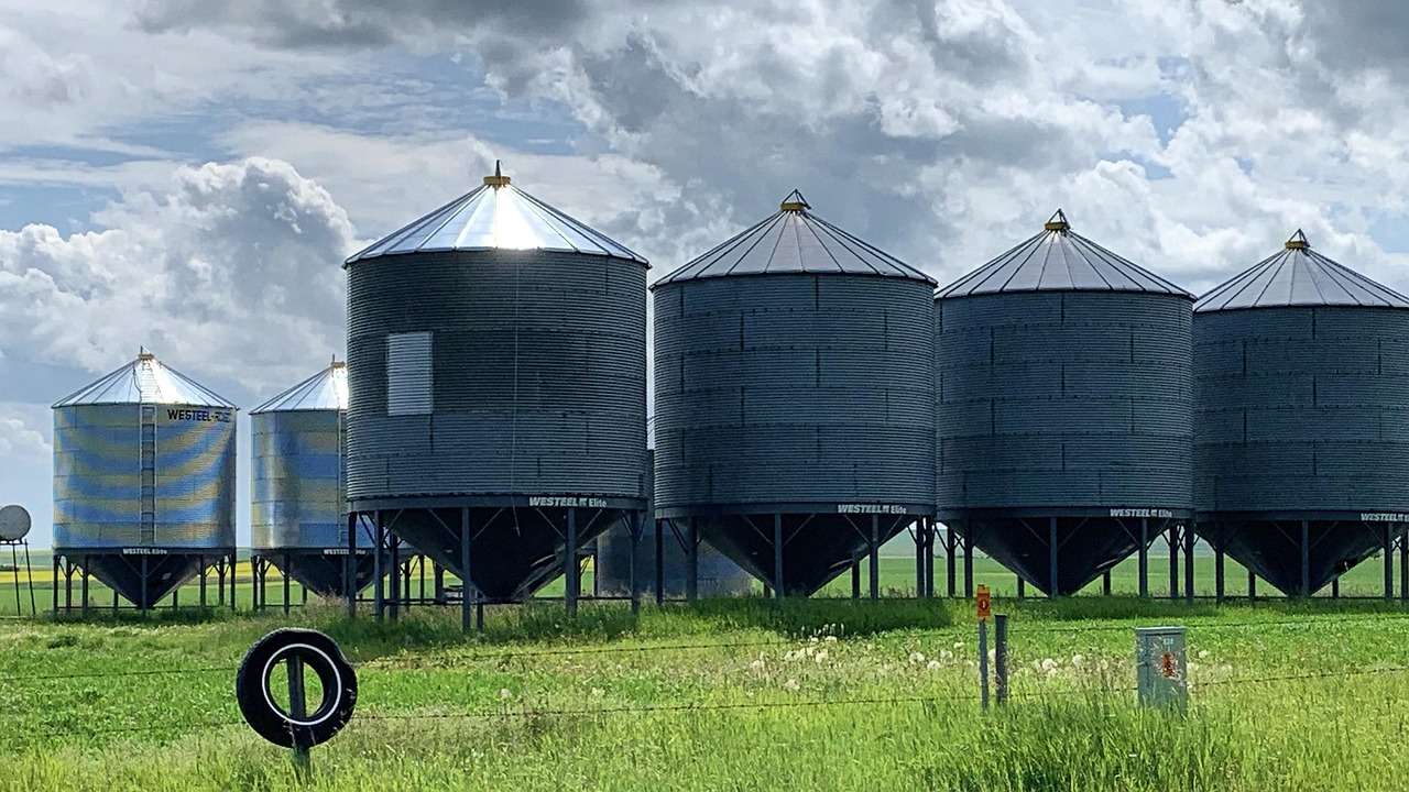 Grain silos beside a wheat field, the drying and storage equipment funded through asset finance for crop farming